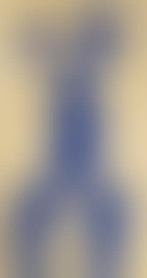 UNTITLED ANTHROPOMETRY (ANT 59) (preview)