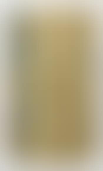 Untitled (Garden Painting) (preview)