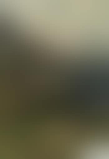 Schäfer mit Herde vor Sonnenbeschienenem Gebirgsmassiv (preview)