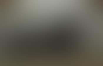 A Gordon setter (preview)