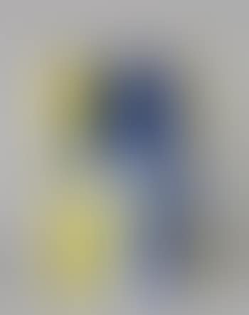Champagner Taittinger Brut Bottle (preview)
