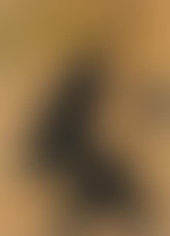Caudieux (preview)