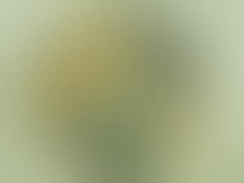 A Landscape (preview)