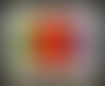 Abstract (preview)