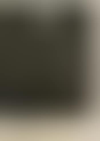 [Untitled] (preview)