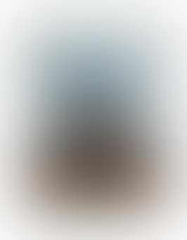Cabeza sobre fondo azul (preview)