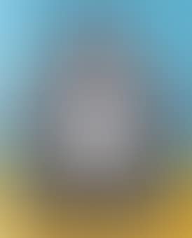 ALIAS NY_124 (preview)
