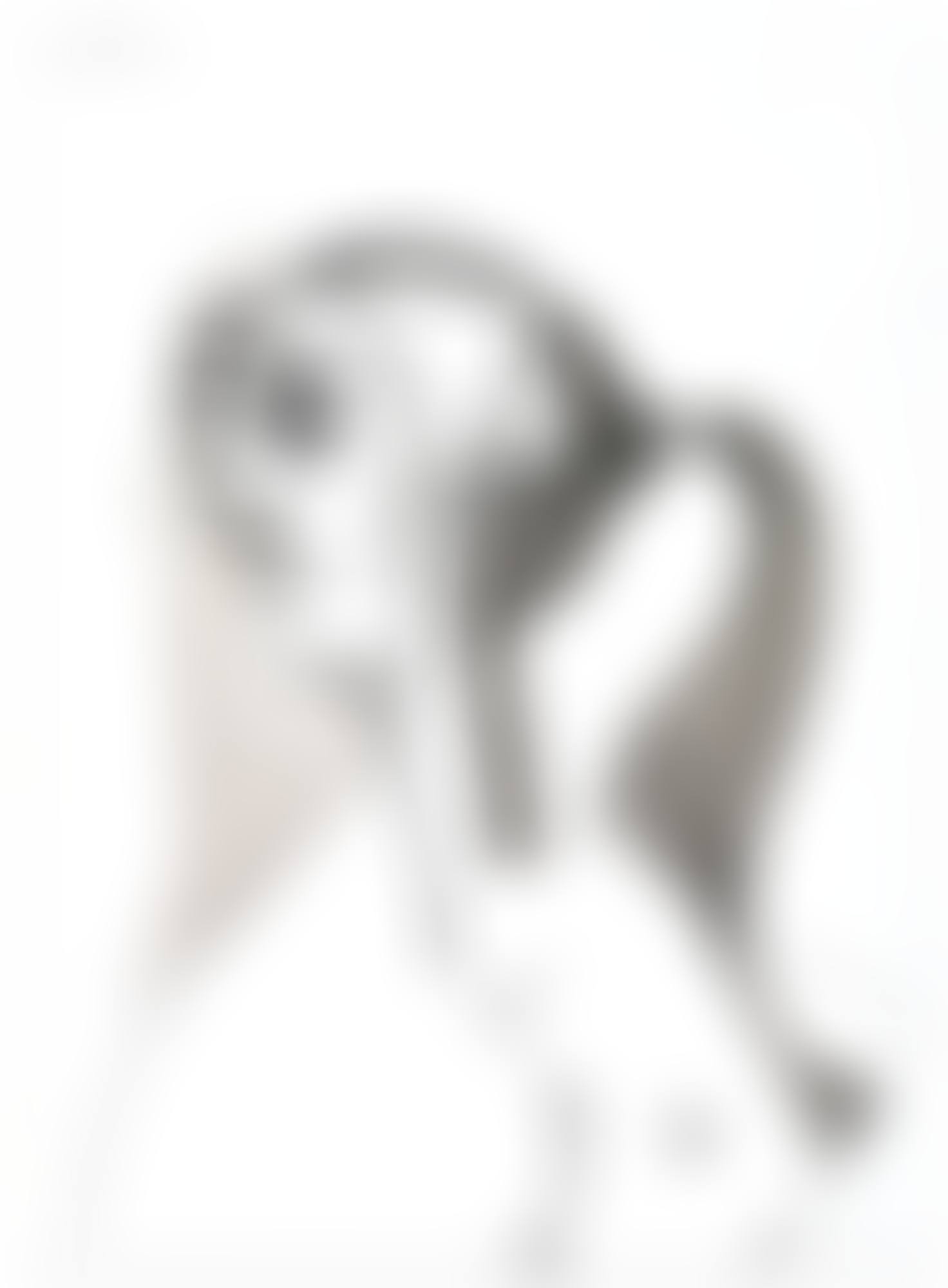 FEMALE PROFILE (preview)