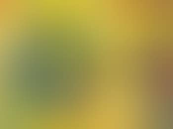 Ohne Titel (preview)