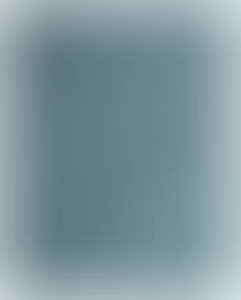 Un ovale grigio (preview)