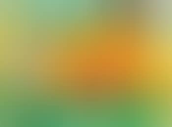 Ohne Titel (preview)