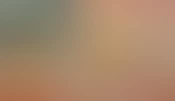 American Flag (Red, Yellow, Black) (preview)