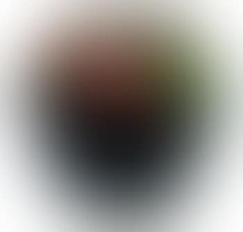 Vase sphérique aplati (preview)
