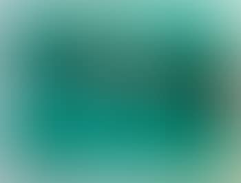 Le Paysage (preview)