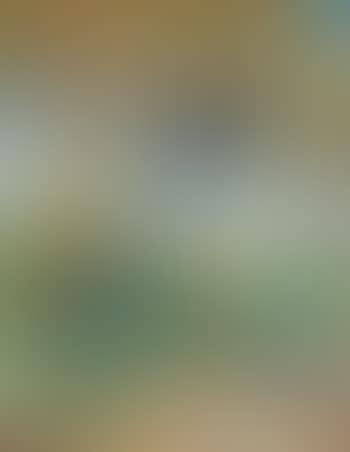 Lente te Heeze (preview)