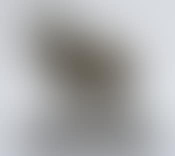 Bok - Bouc (preview)