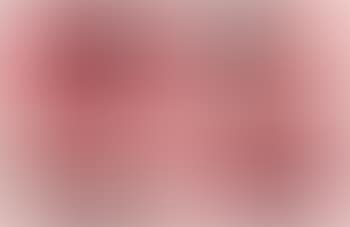 Untitled (Pink Bosoms) (preview)