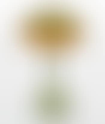 Decorated Table Lamp (preview)