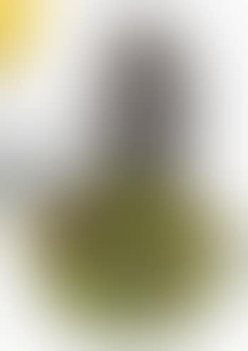 Chouette Vide-poche (preview)