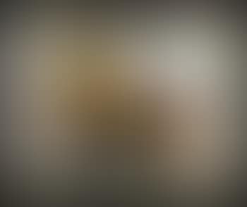 Abstract (preview)