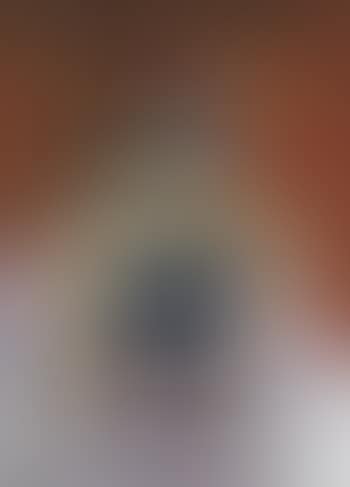 Pieta (preview)