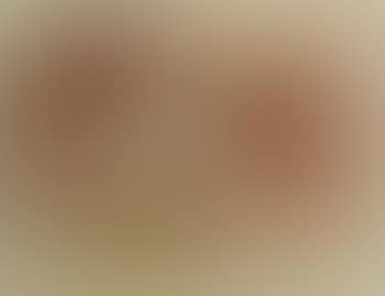 [Untitled] (preview)