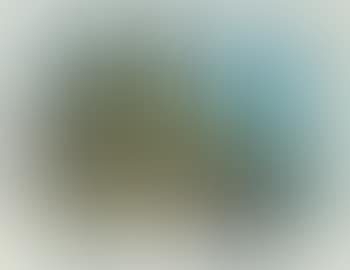 A picture of My New House (preview)