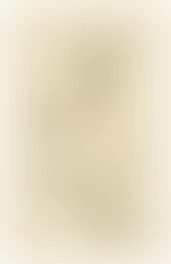 Untitled (Seated Nude Female) (preview)