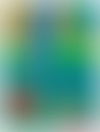 Untitled (preview)