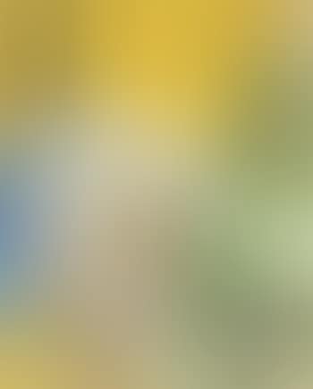 Self portrait with yellow background (preview)