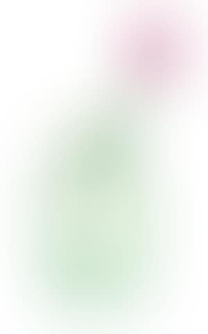 Tulip in a vase (preview)