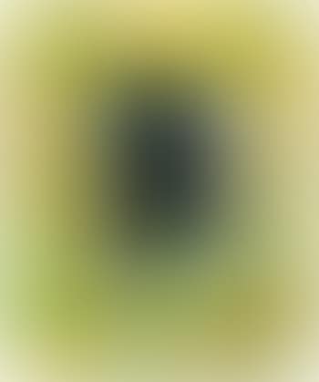 Urn (preview)