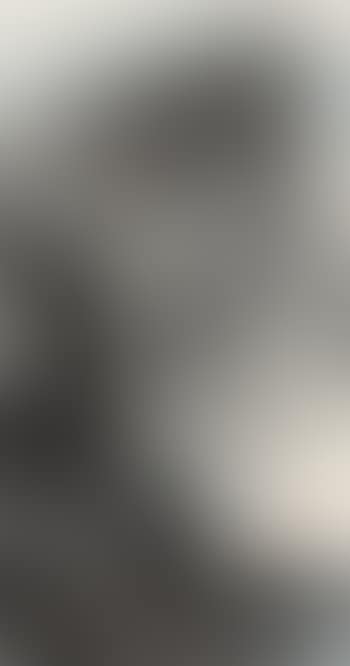 Landscape (preview)