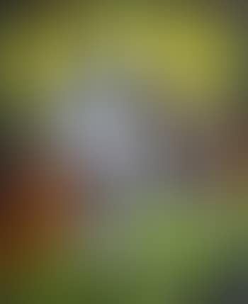 Free wifi (preview)