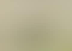 Landskabsstudie. Landscape study. Early spring.  In the foreground a wide, bright green field. In the middle and to the left a group of trees, which decreases towards the left. Light grey sky (preview)