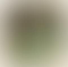 En Vision. A vision. A young man sitting in a meadow sees in a vision a young naked woman (preview)
