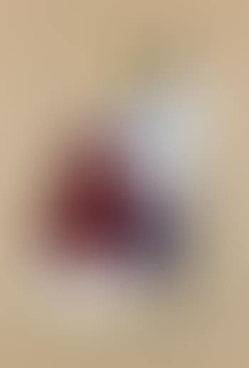 Ballo in alta uniforme (preview)