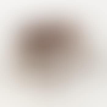 Banc by Hans J Wegner (preview)
