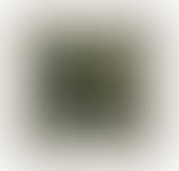 Figure in landscape (preview)