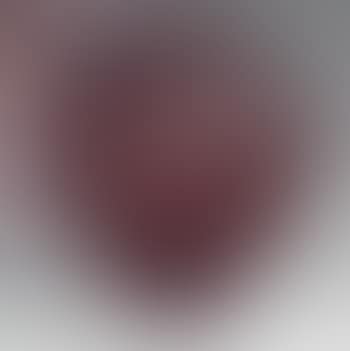 Vase au 'Gui' (preview)