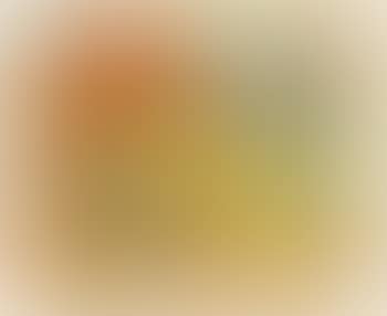 Untitled ( From the Circus series) (preview)