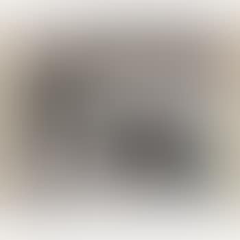 Les Banderilles (preview)