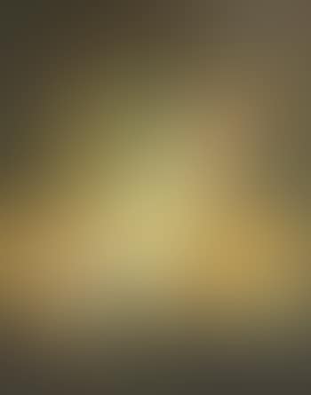 Still Life of Fruit, Leaves and Butterflies on a Ledge (preview)