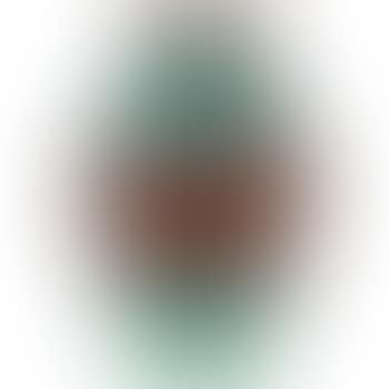 [Untitled] (preview)