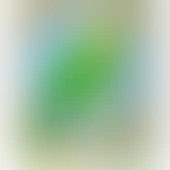 Parrot (preview)