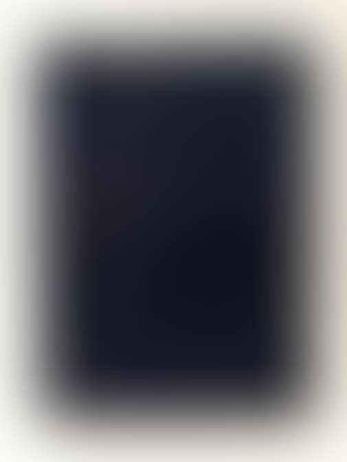 GERHARD RICHTER. GALLERIA PIERONI, ROMA (BUTIN 55) (preview)