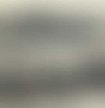 Cormorants (preview)