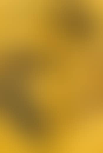 Wisteria (preview)