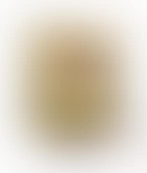 Fauteuil 'EL DORADO' (preview)