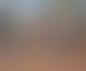 Olive trees (preview)